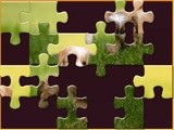 Daily Jigsaw