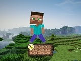 Minecraft Survival