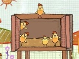 Chicken Coop